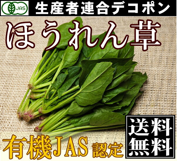 [クール便無料]有機JAS　路地ほうれん草　1.5kg(150g×10袋)(千葉県　生産者…...:sizensyoku21:10002217