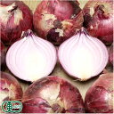͵¡JAS¡¡Àֶ̤ͤ®(¥¢¡¼¥ê¡¼¥ì¥Ã¥É) M¡ÁL 10kg(»³¸ý¸©¡¡¤á¤°¤ßÇÀ±à)ÇÀÌô ²½³ØÈîÎÁÉÔ»ÈÍÑÌîºÚ¡¦Á÷ÎÁ̵ÎÁ¡¦»ºÃÏľÁ÷¡¦¥ª¡¼¥¬¥Ë¥Ã¥¯