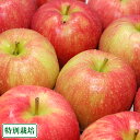 【訳あり】ジョナゴールド 5kg 特別栽培 (青森県 阿部農園) 産地直送