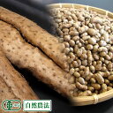 自然薯 家庭用 約2.4kg(2~10本)・むかご200gセット 有機JAS・自然農法 (熊本県 那須自然農園) 産地直送