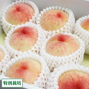 【予約商品・クール便】 白桃 家庭用 2kg 特別栽培 (岡山県 エコファームmitani) 産地直送