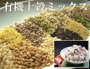 有機十穀 250g×4袋(熊本県 株式会社ろのわ)有機JAS...
