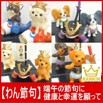 【チワワ 人形】わん節句 (チワワ プードル ダックス パピヨン 犬雑貨 ペット用品 チワ…...:skipdog:10000238