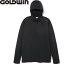 GOLDWIN ゴールドウィン ALPHADRY DRY HOODIE 〔特価 2018 パーカー フーディ〕 (ブラック):G51707P