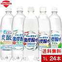 【送料無料】 強炭酸 伊賀の天然水 強炭酸水 選べる強炭酸水...