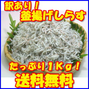 ★業務用！愛媛県産 ふんわり柔らかい 釜揚 しらす！1kg（500g×2）！【送料無料】...:skyandblue:10000010