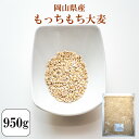 令和元年産 大麦 国内産 もっちもち大麦 950g 1袋 チ...