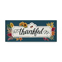 【中古】【輸入品・未使用】Trademark Fine Art Thankful IV Blue Janelle Penner作、25.4x60.96cm