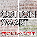 ラグ カーペット ラグマット 北欧 シャギーラグ rug 抗アレルゲン アレルブロック 防ダニ 日本製 モダン 【スミノエ製】 コットンスマート(コットンボーダー) 江戸間 10畳 352cmx440cm