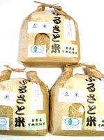 ●23年度産　農薬が掛かっていない玄米有機JAS認定品●送料無料　無農薬栽培　●有機玄米コシヒカリ　5kg×3　