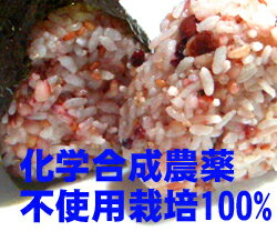 送料無料メール便　(十六穀米 100g 十穀米 100g 五穀米 100g)味比べセット　…...:slow-foods:10000567