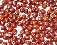 ●有機栽培　　国内産　小豆(アズキ)　300g　有機JAS認定品 (メール便不可)