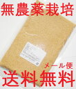 ★お徳2個セット　メール便送料無料　化学農薬不使用栽培　アマランサス　450g×2　 (宅配便不可・代引き決済不可・日時指定不可)　海外USDAオーガニック認定品