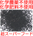 ●送料無料メール便(代引き不可) ブラックシード 50g 超スーパーフード ( ブラッククミンシード 、カロンジ 、ニゲラ サティバ )Black seeds