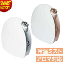 フェイススチーマー アロマ対応 美顔器 スチーマー フェイス 顔 美肌 アロマ スチーム ミスト 冷温 冷ミスト 温スチーム 卓上 フェイスケア 美容家電 美容 おばあちゃん お母さん 女性 ☆ プレゼント