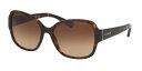 【正規品】【送料無料】Coach コーチ レディース サングラス Coach HC8166F Asian Fit 512013 58 58 サイズ 正規品 安い ケース&クロス付【海外通販】