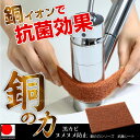 抗菌 スポンジ / 銅の力シリーズ 抗菌シート F8721【送料無料】/【ポイント 倍】