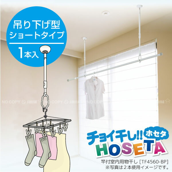 室内物干し HOSETA[ショートタイプ]TA4560-BP【ポイント 倍】10P23Jul12【レビューを書いて割引】【セール SALE バーゲン】使うときだけ取り付けできるポール脱着式の室内吊り具 室内物干しハンガー 伸縮棒[宝]