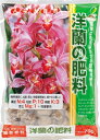 洋蘭の肥料2.8Kg3袋セット/10P03Dec16