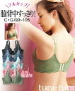 脇高総レースフルカップブラジャー 肌着・インナー 大きなサイズ C-Gカップ 30代 40代 50代 女性 大きいサイズ レディース ストレッチレース 背中すっきり 下垂防止
