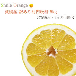 G.W明け発送【送料無料】愛媛県産 訳あり 河内晩柑 5kg ご自宅用 宇和ゴールド ジューシー 美生柑 国産 産地直送 文旦 ブンタン グレープフルーツ みかん 柑橘 <strong>柑橘系</strong> フルーツ スイーツ 不揃い 多汁 まろやかな酸味 【※送料無料は一部地域を除く】