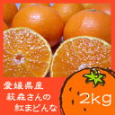 【12月上旬から発送です!】プルップルッ♪ゼリーみ