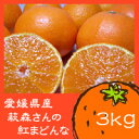 【12月上旬発送!】プルップルッ♪ゼリーみたいな食