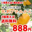 【2箱以上購入で送料無料】3箱買えば1箱おまけ!!完熟プチみかん2kg