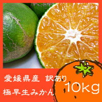 【ご予約開始♪送料無料】愛媛県産　訳あり極早生みかん　10kg