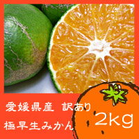 【ご予約開始♪送料無料】愛媛県産　訳あり極早生みかん　2kg