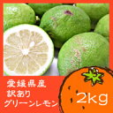 10月上旬より出荷開始！愛媛県　訳ありグリーンレモン　2kg