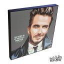 アートパネル David Beckham デビッド・ベッカム5 インテリア サッカー・名選手 ウォールアート スポーツ レジェンド スター グッズ おしゃれ イラスト 絵 絵画 ポップアート アートフレーム 雑貨