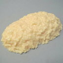 【代引料無料】脂肪模型 2kg IP-971