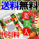 【送料無料】【代引料無料】とれたて野菜美人 r n 【smtb-k】【ky】【RCPdec18】