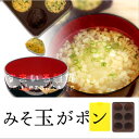 味噌玉ストッカー/みそまる/冷凍保存/みそポン/みそ玉がポン...