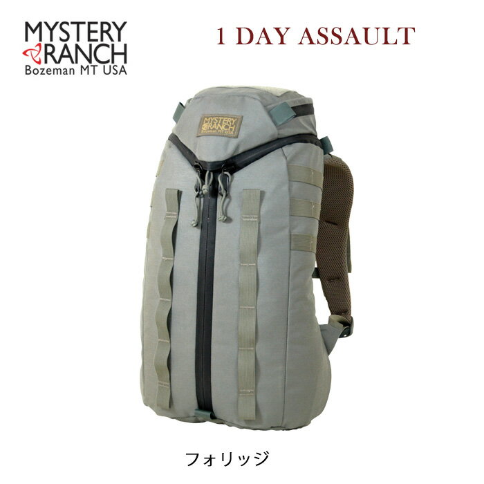 ミステリーランチ 1 デイアサルト
