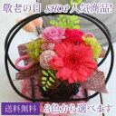 敬老の日にお花をプレゼント！和風アレンジ　彩華誕生日 即日発送送料無料★13%OFF★色が選べる和風アレンジ誕生日/敬老の日/花/プレゼント/プリザーブドフラワー/母の日/和風