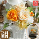 プリザーブドフラワー 誕生日プリザ 敬老の日 プリザーブドフラワー お見舞い 退職祝い 花ギフト 誕生日 結婚祝い メッセージカード 即日発送 送料無料 ペティ オレンジバラ 傘寿 米寿 ピンク グリーン レッド ホワイト ブルー パープル 定年 退職 就職祝い