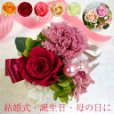 ¥×¥ê¥¶¡¼¥Ö¥É¥Õ¥é¥ï¡¼ ¥®¥Õ¥È ·ëº§¼° ÅÅÊó ½ËÅÅ Êì¤ÎÆü ¥«¡¼¥Í¡¼¥·¥ç¥ó Â࿦½Ë¤¤ Â࿦ ¥×¥ê¥¶¡¼¥Ö¥É¥Õ¥é¥ï¡¼ ¥×¥ì¥¼¥ó¥È ²Ö ¥®¥Õ¥È 2019 ¥×¥ê¥¶¡¼¥Ö¥É¥Õ¥é¥ï¡¼ ÃÂÀ¸Æü¥×¥ì¥¼¥ó¥È ¥Ö¥ê¥¶¡¼¥É¥Õ¥é¥ï¡¼ ¥Ö¥ê¥¶¡¼¥É ¤ª½Ë¤¤ ½é¤á¤Æ¤Î¥×¥ê¥¶¡¼¥Ö¥É¥Õ¥é¥ï¡¼