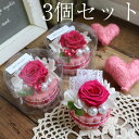 【3個セット】卒業 おめでとう プチギフト プリザーブドフラ...