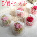 【5個セット】卒業 おめでとう プチギフト ホワイトデーのお...