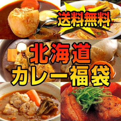 《送料無料》【業務用】全6種類入る北海道カレー福袋！有名店のスープカレーを食べ比べ♪※カレー同士のみ同梱可