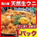 《送料無料》塩水生うに（エゾバフンウニ）黄特上100g×1/生ウニ/雲丹/海栗/海胆/北国からの贈り物(北海道グルメ)獲れたての感動を味わえる！塩水生うに（エゾバフンウニ）/生ウニ/雲丹/海栗/海胆/