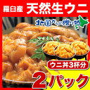 《送料無料》塩水生うに（エゾバフンウニ）黄特上100g×2/生ウニ/雲丹/海栗/海胆/北国からの贈り物(北海道グルメ)獲れたての感動を味わえる！塩水生うに（エゾバフンウニ）/生ウニ/雲丹/海栗/海胆/