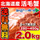 《送料無料》毛蟹姿食べ放題福袋5-7尾合計2.0kg前後（280-450g姿）※最長お届け5/15お待たせしました！いよいよ販売開始！