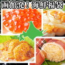 《送料無料》函館発！海鮮福袋（いかめし・うにいか・うに醤・いくら醤油漬け）