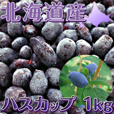 《送料無料》2012年度産の新物を摘みたて冷凍！北海道産 完熟ハスカップの実1.0kg（生冷凍）　