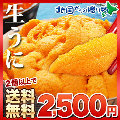 【利尻産】100g塩水生ウニ（キタムラサキ）【2セット以上で送料が無料】 2SF