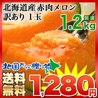 《送料無料》ワケ待ち 訳まち 北海道産 赤肉メロン(個選) ...