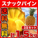 《送料無料》沖縄県石垣島産　スナックパイン3玉 計1.5kg...